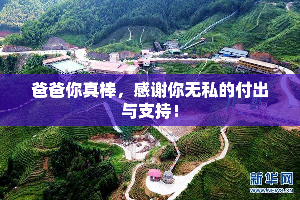 爸爸你真棒，感谢你无私的付出与支持！