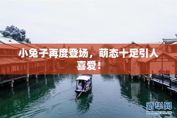 小兔子再度登场，萌态十足引人喜爱！