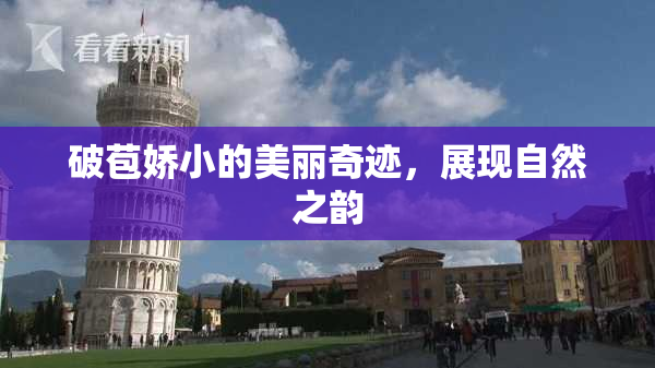 破苞娇小的美丽奇迹，展现自然之韵