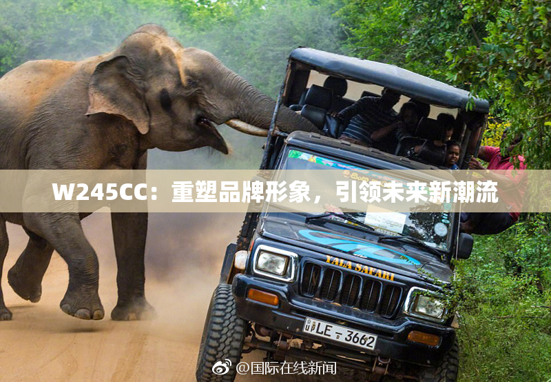 W245CC：重塑品牌形象，引领未来新潮流