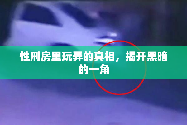 性刑房里玩弄的真相，揭开黑暗的一角
