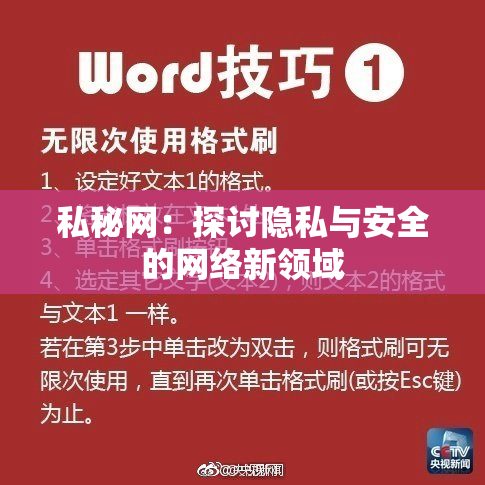 私秘网：探讨隐私与安全的网络新领域