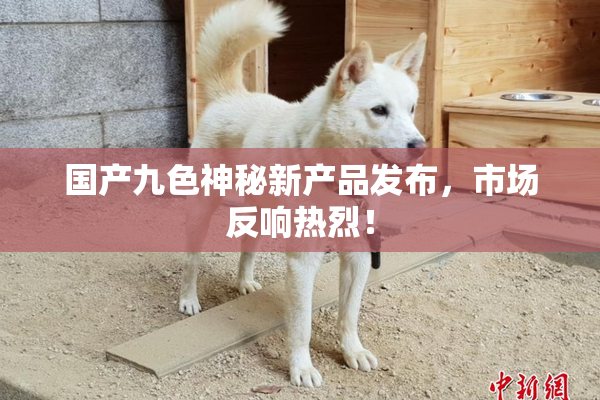 国产九色神秘新产品发布，市场反响热烈！