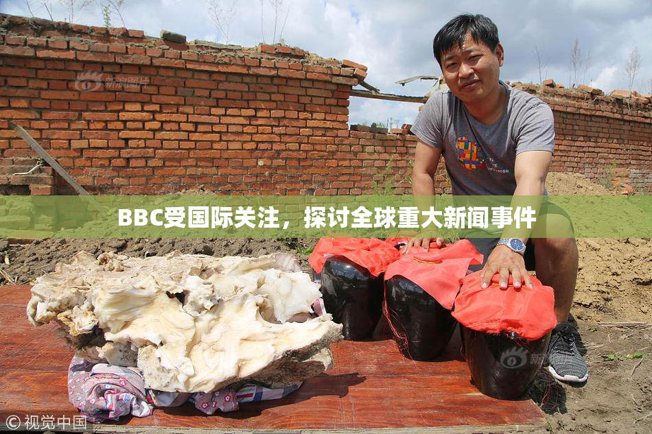 BBC受国际关注，探讨全球重大新闻事件