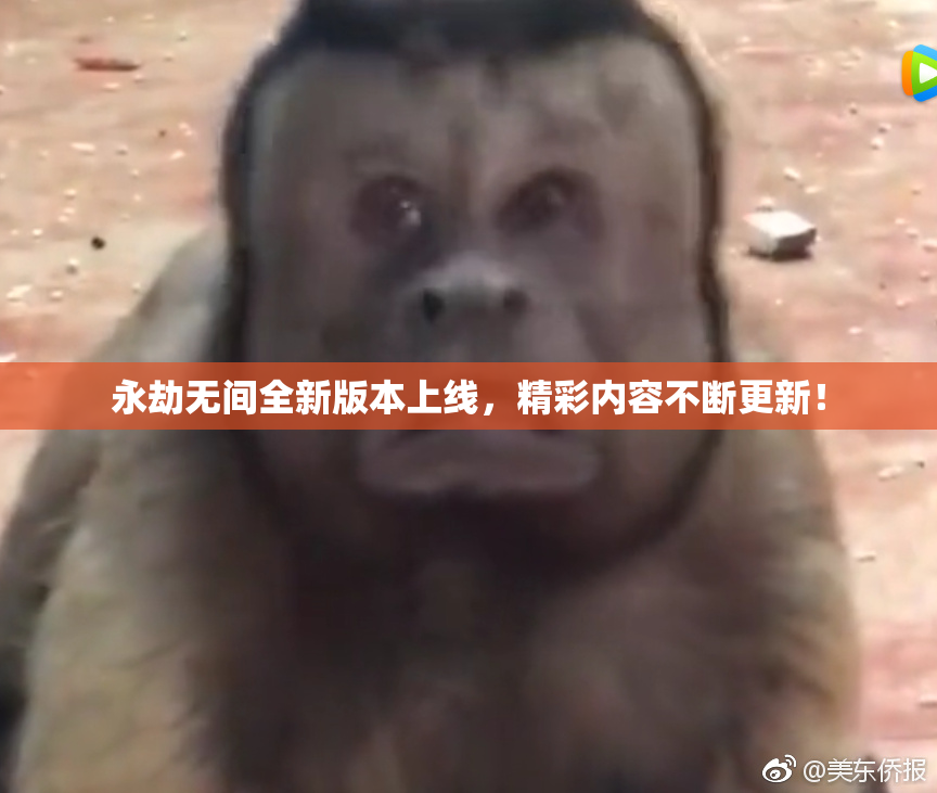 永劫无间全新版本上线，精彩内容不断更新！