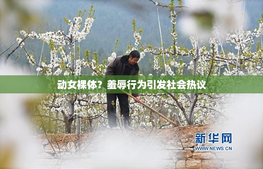 动女裸体？羞辱行为引发社会热议