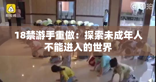 18禁游手重做：探索未成年人不能进入的世界