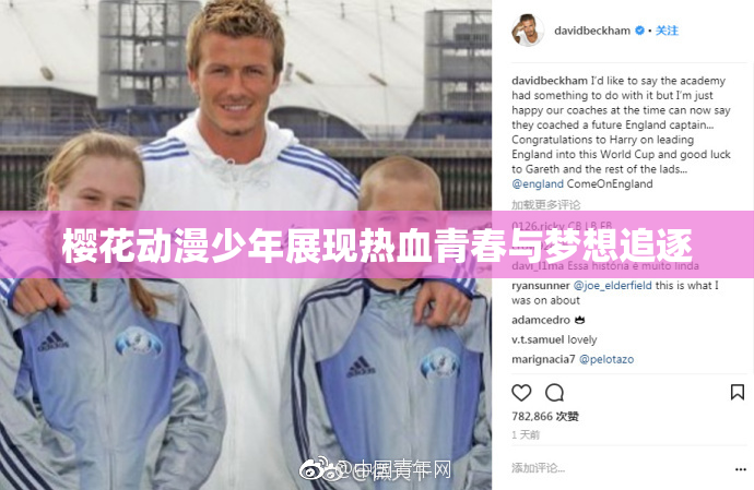 樱花动漫少年展现热血青春与梦想追逐