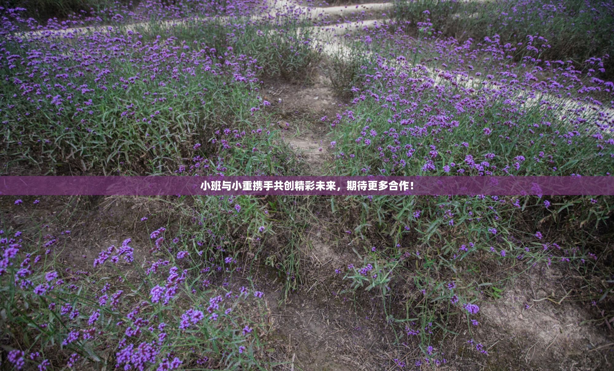 小班与小重携手共创精彩未来，期待更多合作！