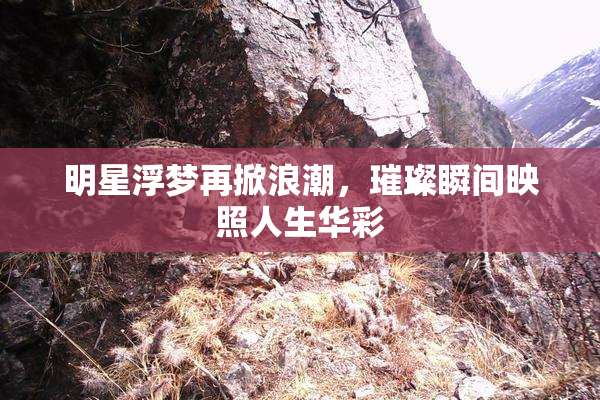 明星浮梦再掀浪潮，璀璨瞬间映照人生华彩
