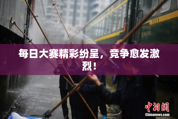 每日大赛精彩纷呈，竞争愈发激烈！