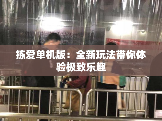 拣爱单机版：全新玩法带你体验极致乐趣