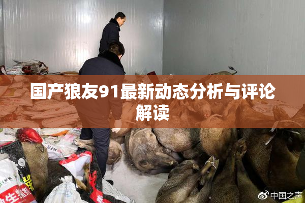 国产狼友91最新动态分析与评论解读