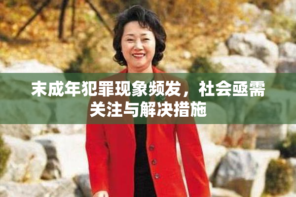 末成年犯罪现象频发，社会亟需关注与解决措施