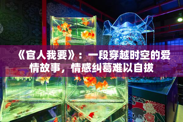 《官人我要》：一段穿越时空的爱情故事，情感纠葛难以自拔