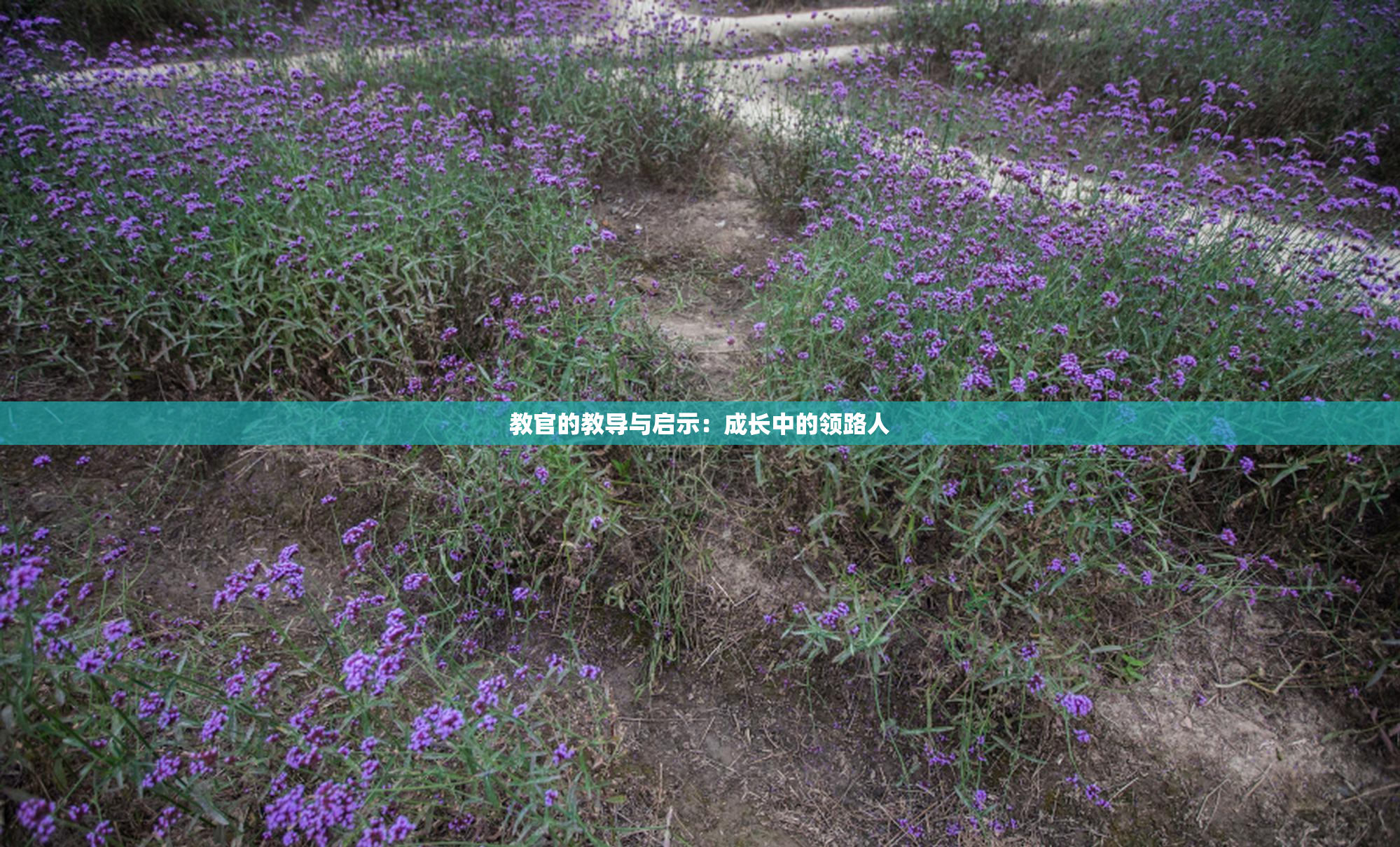 教官的教导与启示：成长中的领路人