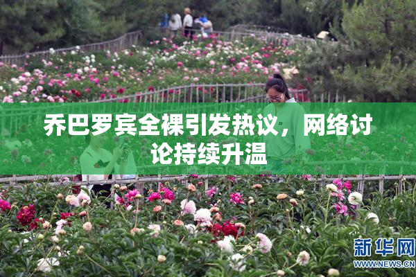乔巴罗宾全裸引发热议，网络讨论持续升温