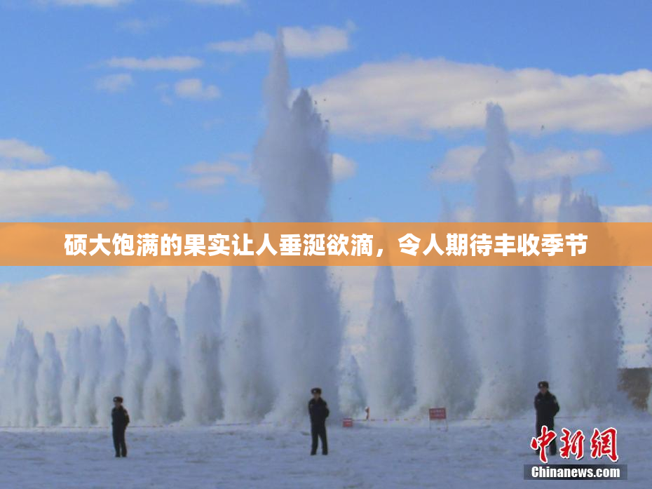 硕大饱满的果实让人垂涎欲滴，令人期待丰收季节