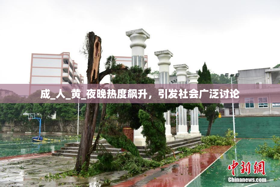 成_人_黄_夜晚热度飙升，引发社会广泛讨论