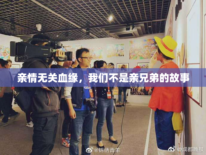 亲情无关血缘，我们不是亲兄弟的故事