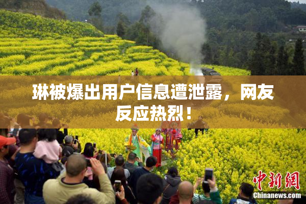 琳被爆出用户信息遭泄露，网友反应热烈！