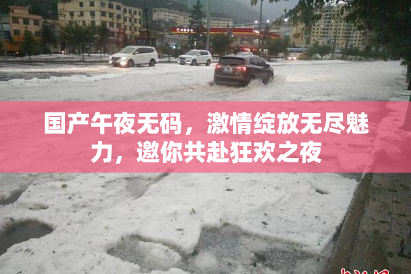 国产午夜无码，激情绽放无尽魅力，邀你共赴狂欢之夜