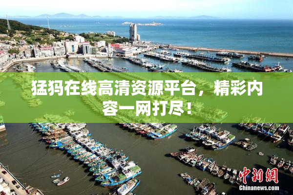 猛犸在线高清资源平台，精彩内容一网打尽！