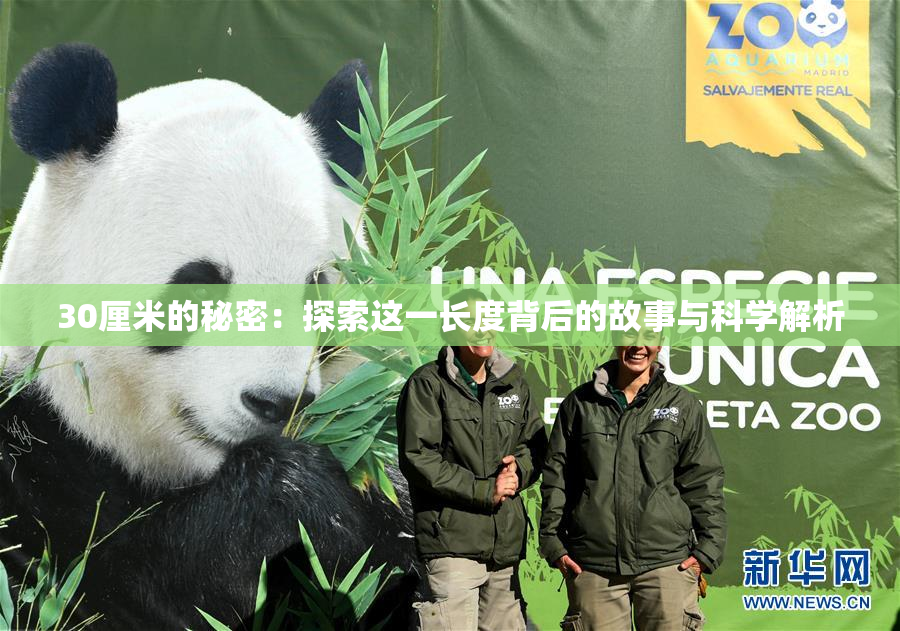 30厘米的秘密：探索这一长度背后的故事与科学解析