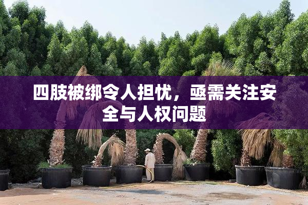 四肢被绑令人担忧，亟需关注安全与人权问题