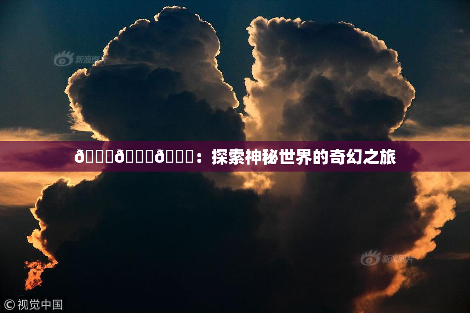🍆🍑🔞：探索神秘世界的奇幻之旅