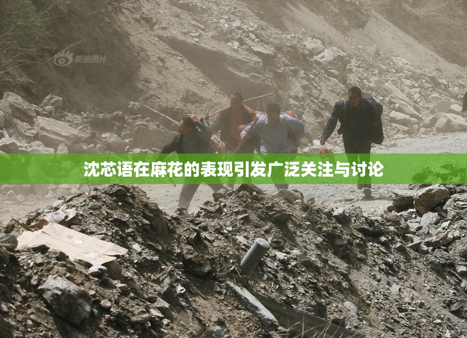 沈芯语在麻花的表现引发广泛关注与讨论