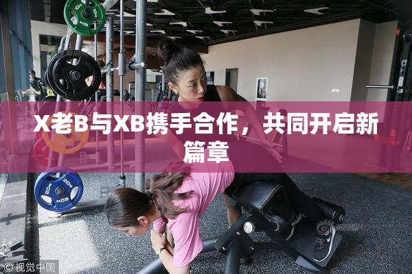 X老B与XB携手合作，共同开启新篇章