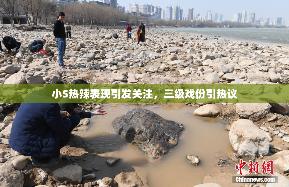 小S热辣表现引发关注，三级戏份引热议