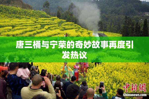 唐三桶与宁荣的奇妙故事再度引发热议