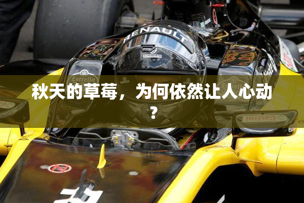秋天的草莓，为何依然让人心动？