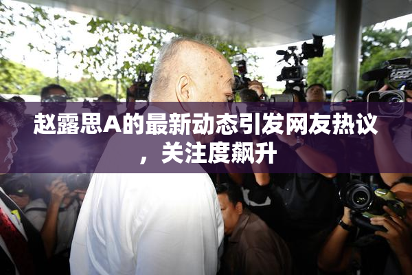 赵露思A的最新动态引发网友热议，关注度飙升