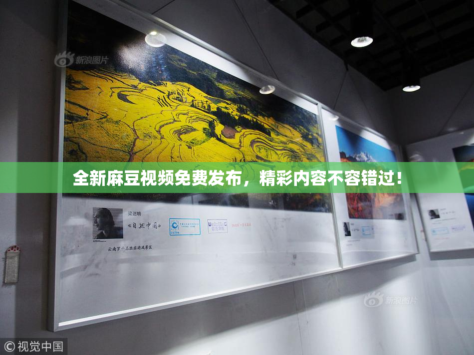 全新麻豆视频免费发布，精彩内容不容错过！