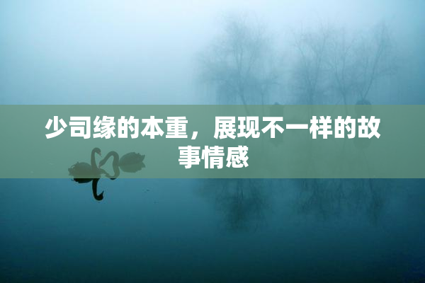 少司缘的本重，展现不一样的故事情感