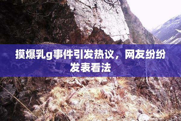 摸爆乳g事件引发热议，网友纷纷发表看法