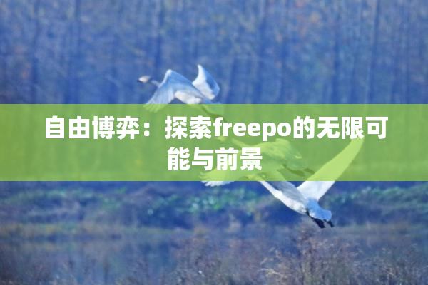 自由博弈：探索freepo的无限可能与前景