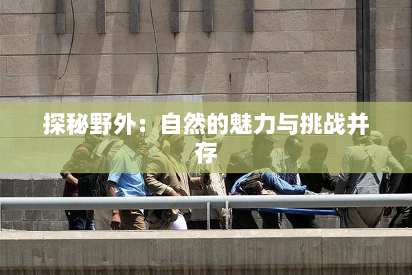 探秘野外：自然的魅力与挑战并存