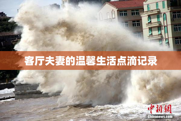 客厅夫妻的温馨生活点滴记录