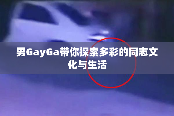 男GayGa带你探索多彩的同志文化与生活