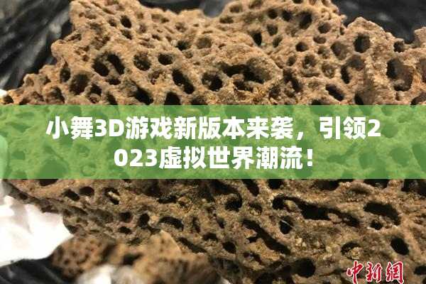 小舞3D游戏新版本来袭，引领2023虚拟世界潮流！