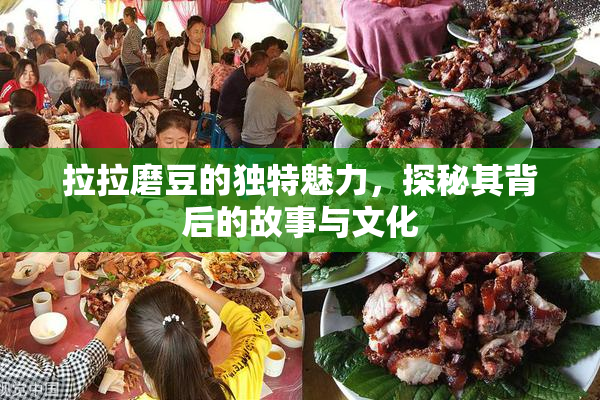 拉拉磨豆的独特魅力，探秘其背后的故事与文化