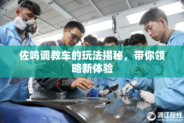 佐鸣调教车的玩法揭秘，带你领略新体验