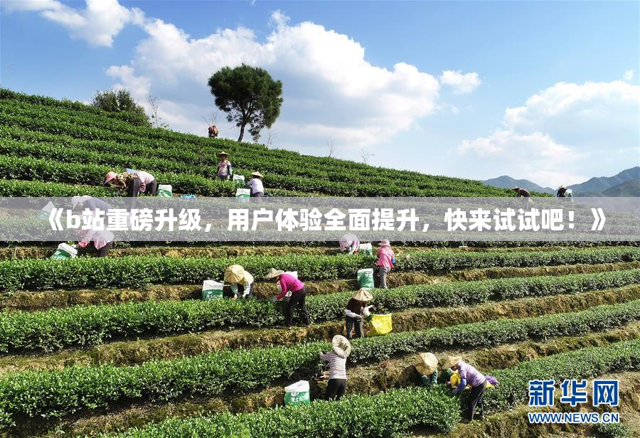 《b站重磅升级，用户体验全面提升，快来试试吧！》