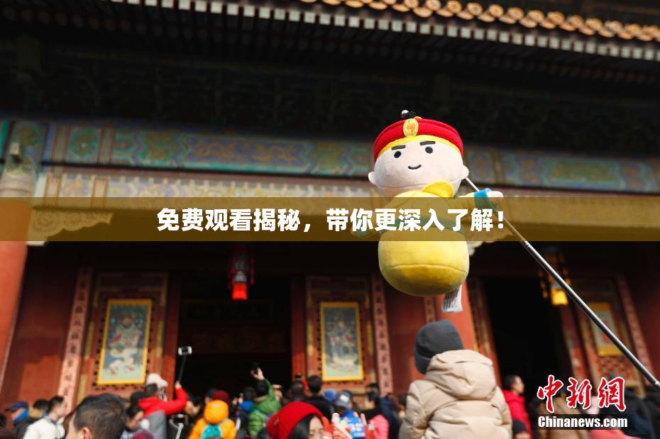 免费观看揭秘，带你更深入了解！