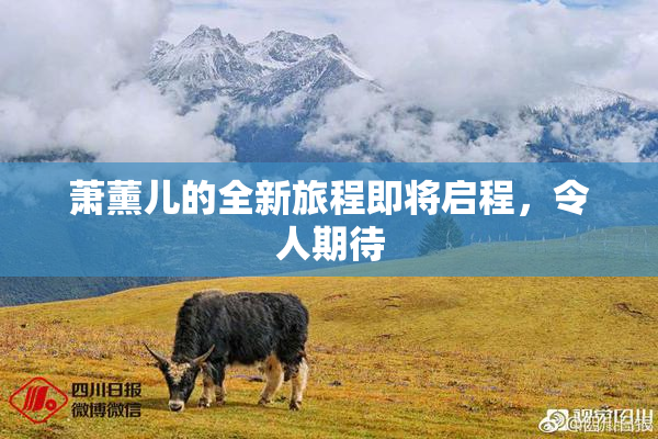 萧薰儿的全新旅程即将启程，令人期待