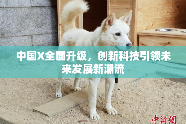 中国X全面升级，创新科技引领未来发展新潮流